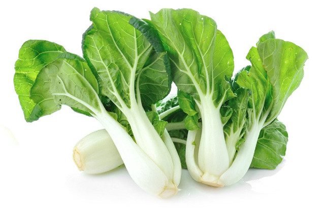 Can Rabbits Eat Bok Choy?