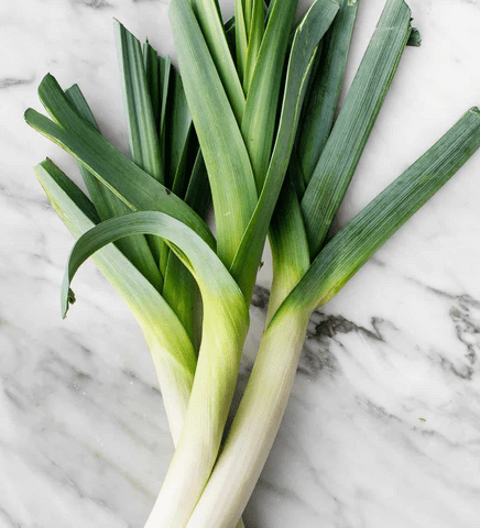 Can Rabbits Eat Leeks?