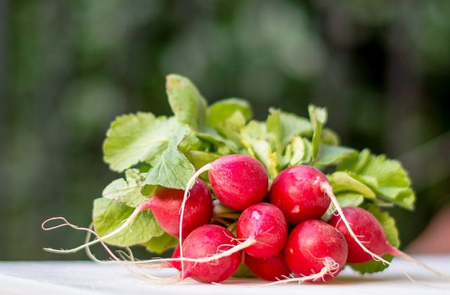 Can Rabbits Eat Radishes?