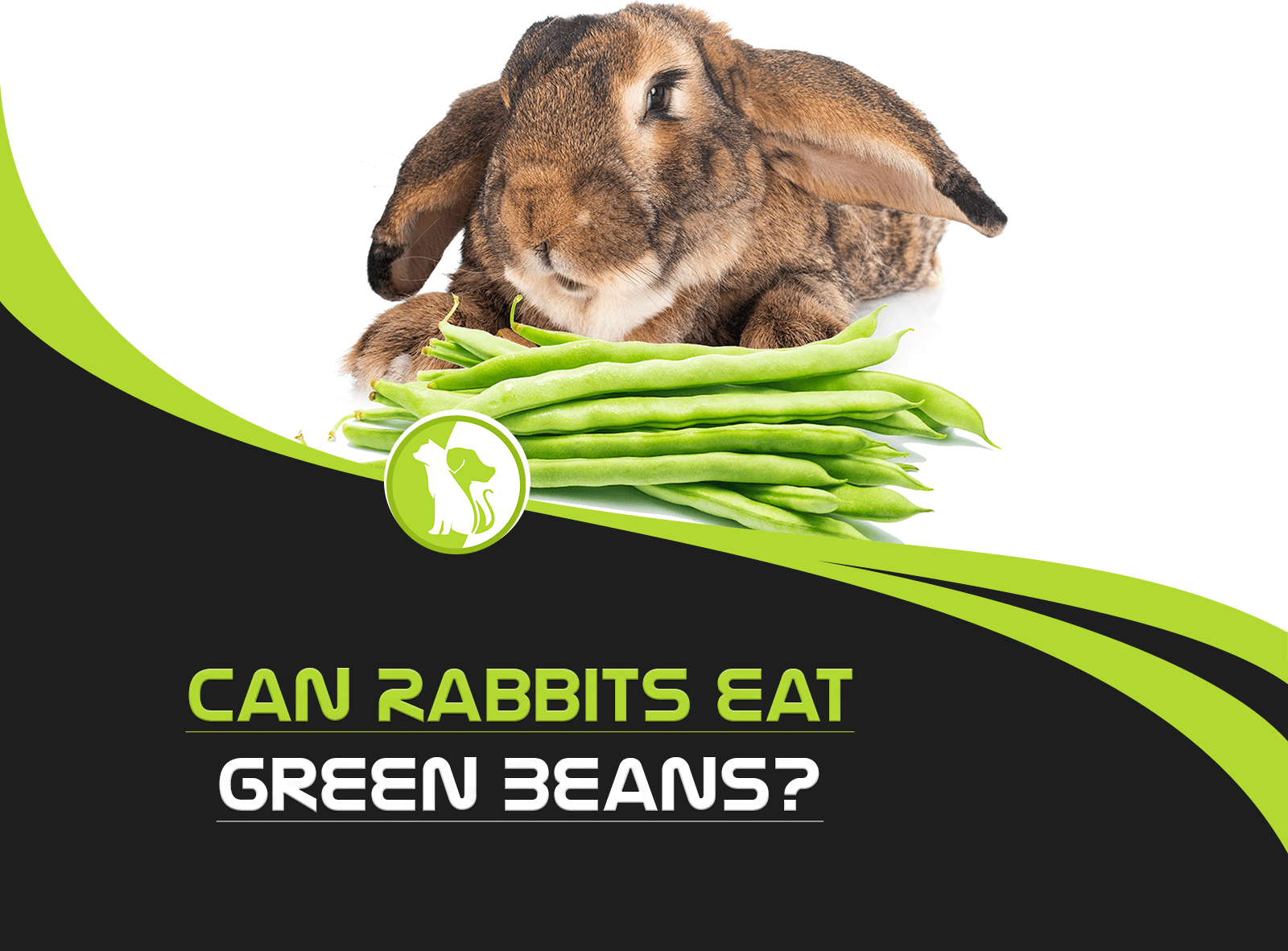 Can Rabbits Eat Green Beans?