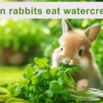 Can Rabbits Eat Watercress?