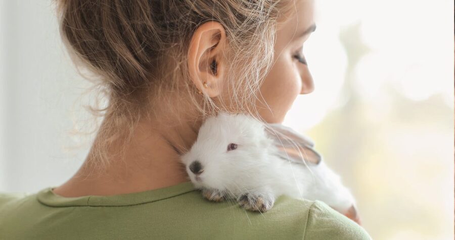 How to Gain Your Rabbit’s Trust?