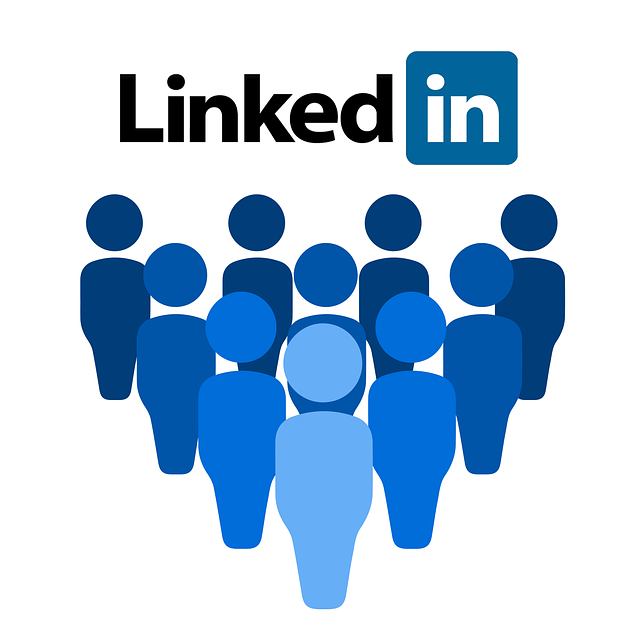 linkedin-400850_640